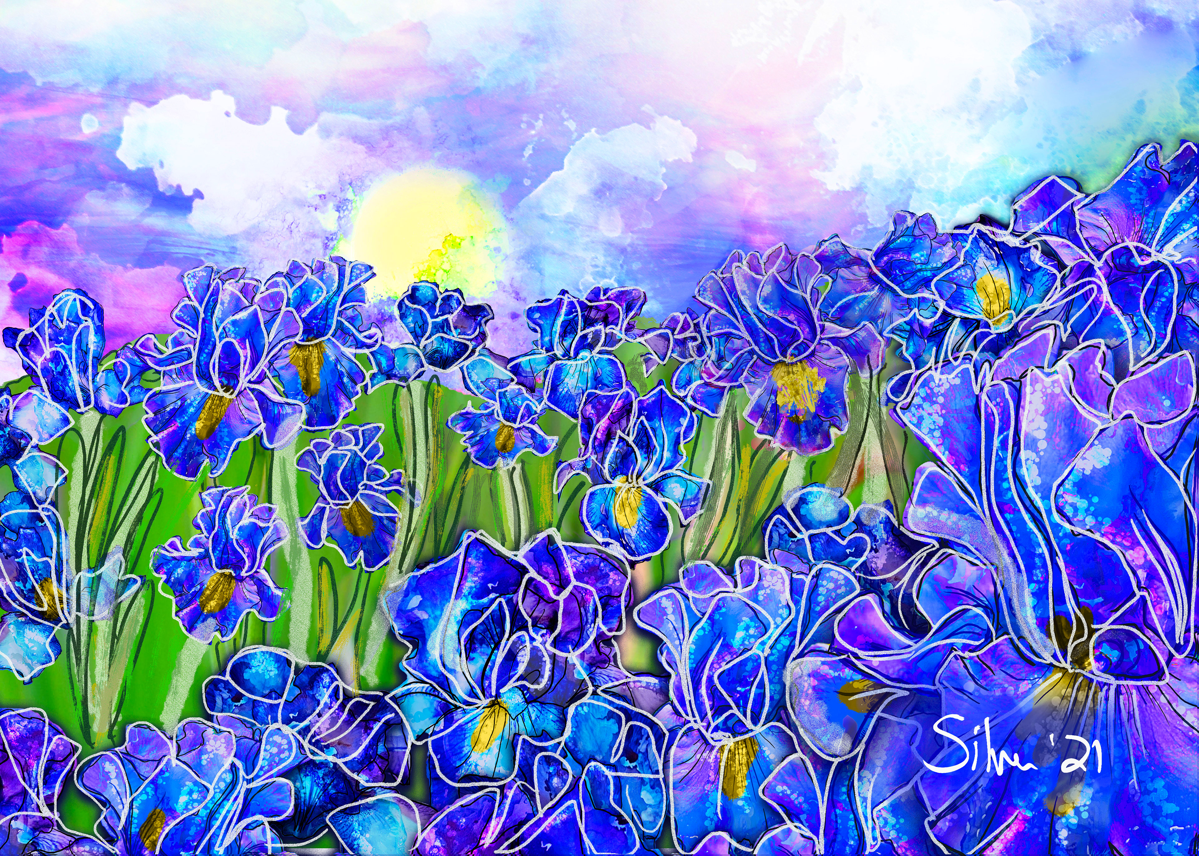 Field of Irises