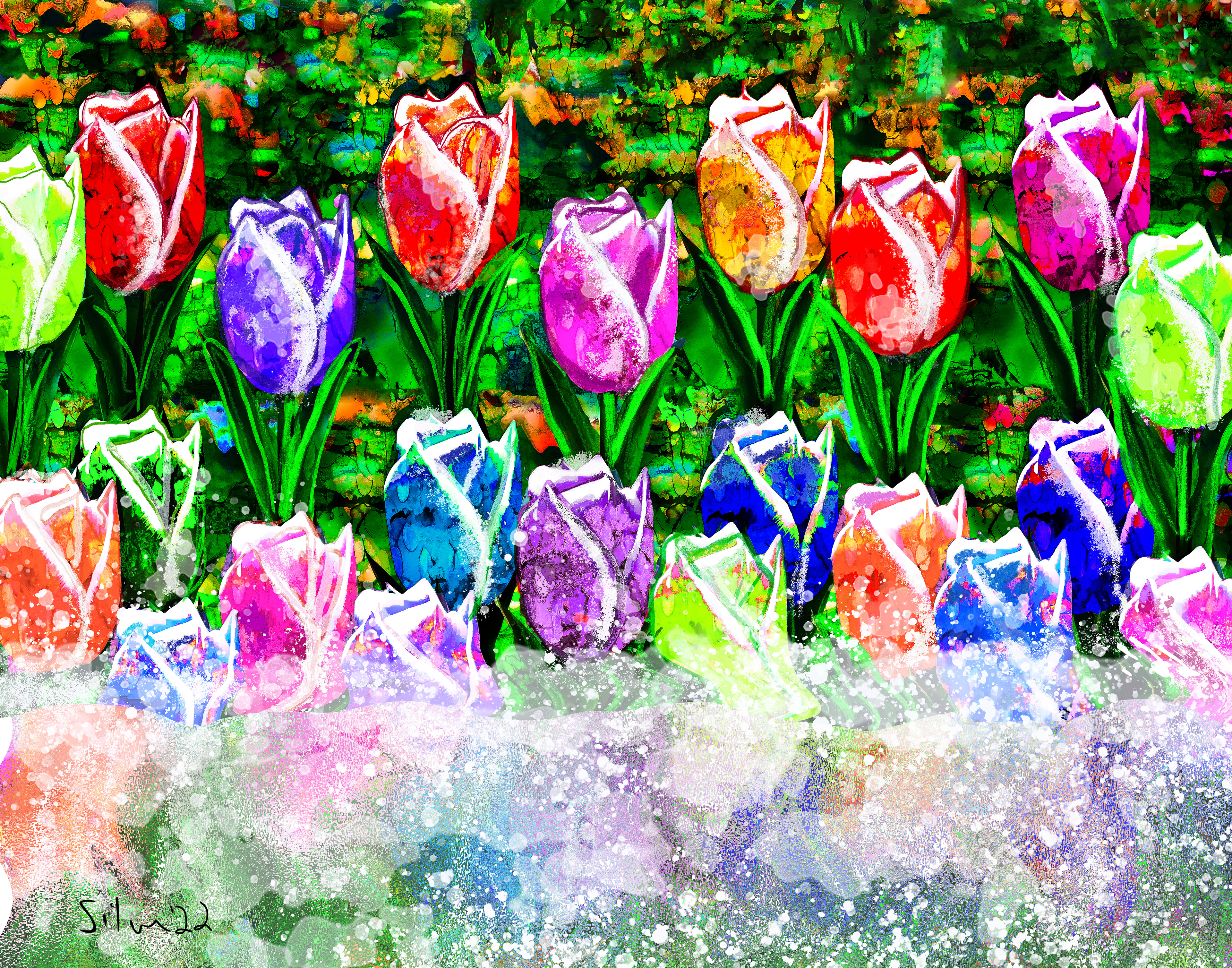 A Community of Tulips
