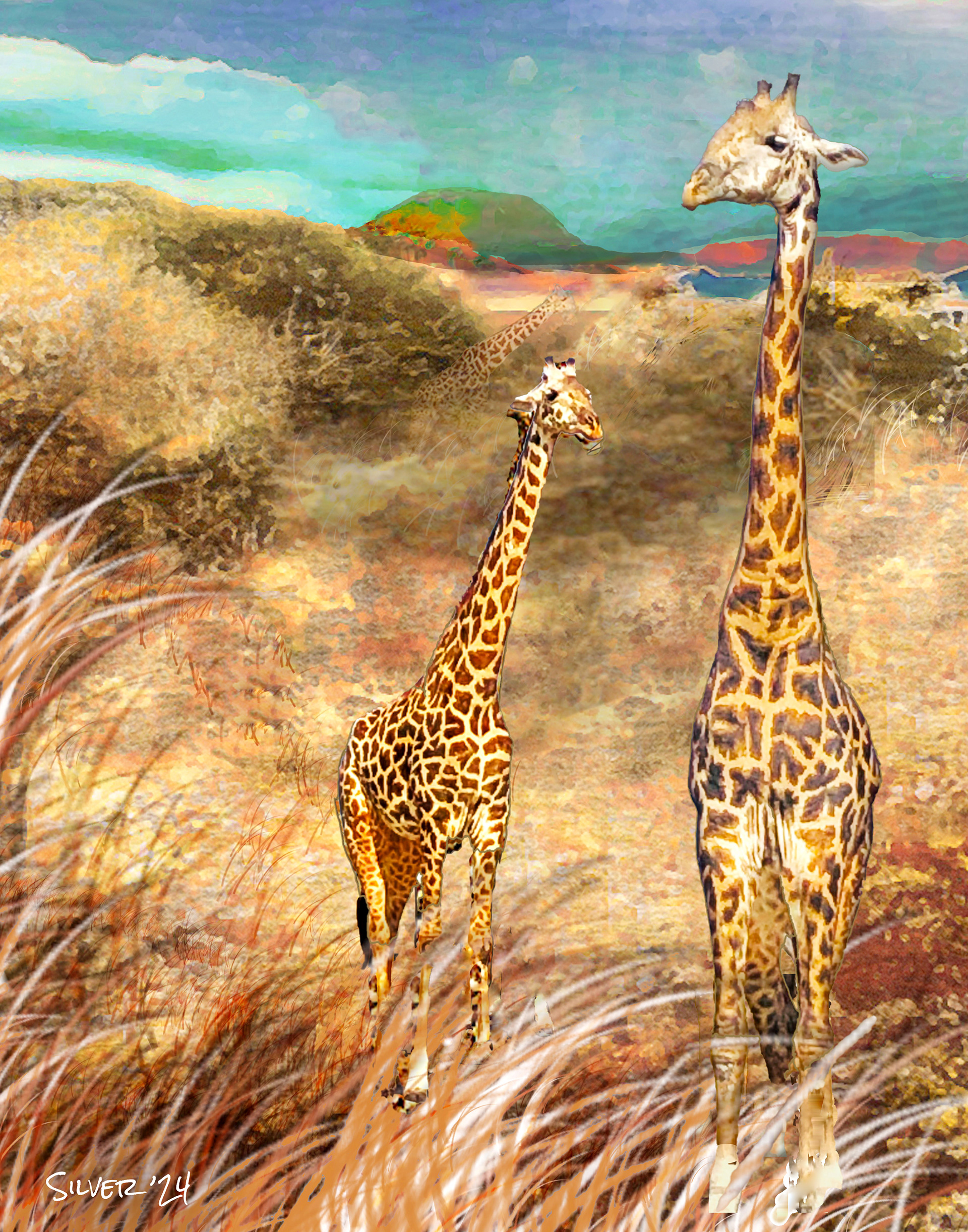 (African safari series) Giraffes 
