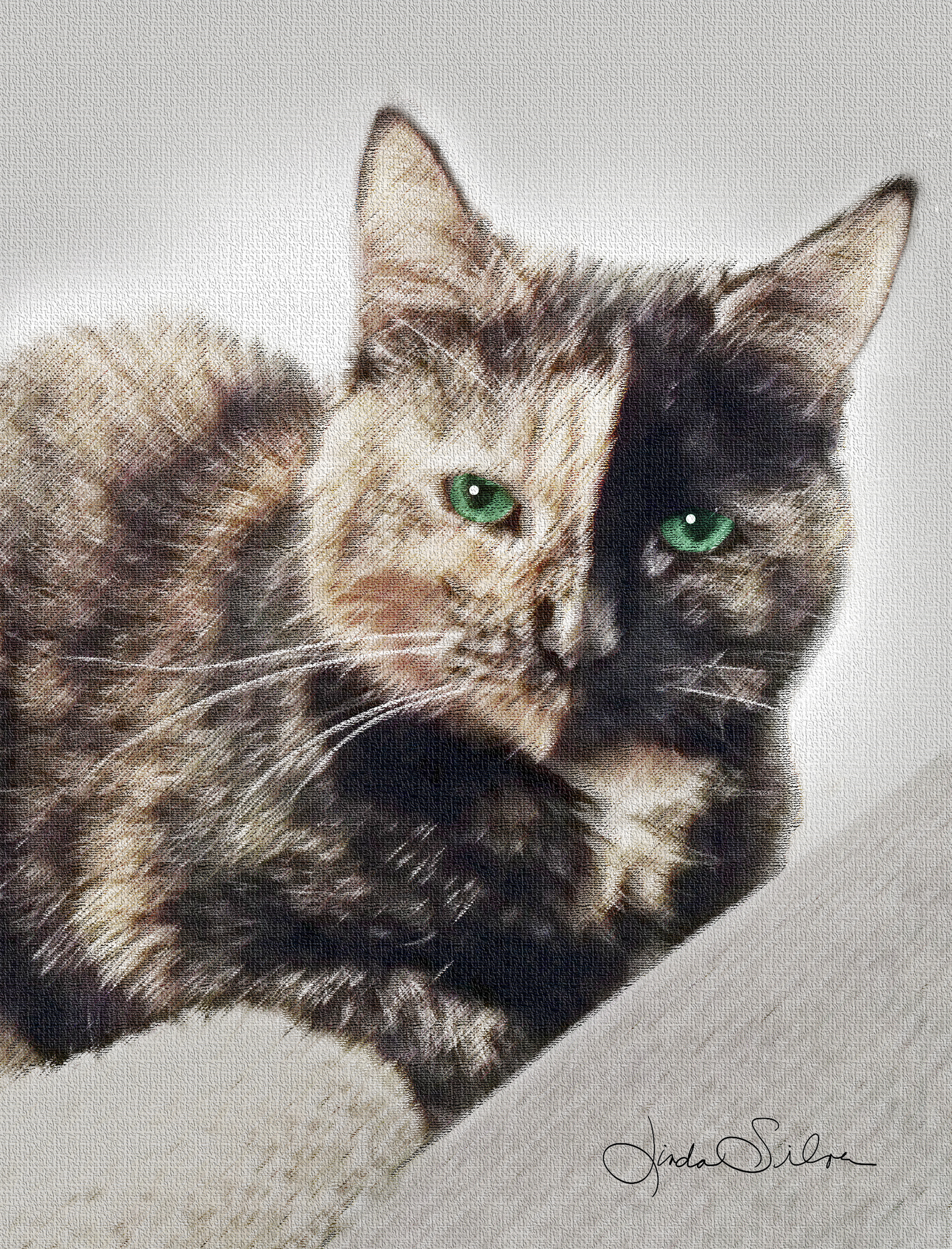 Maya