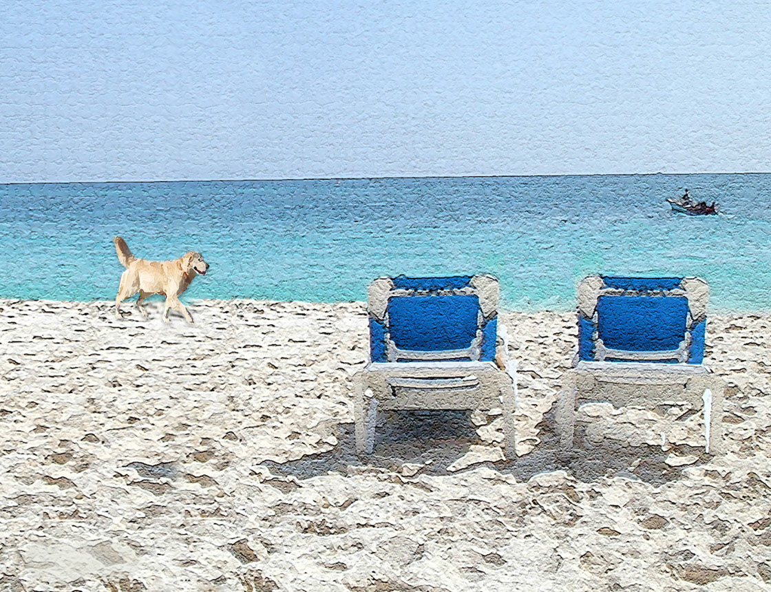 Dog Beach