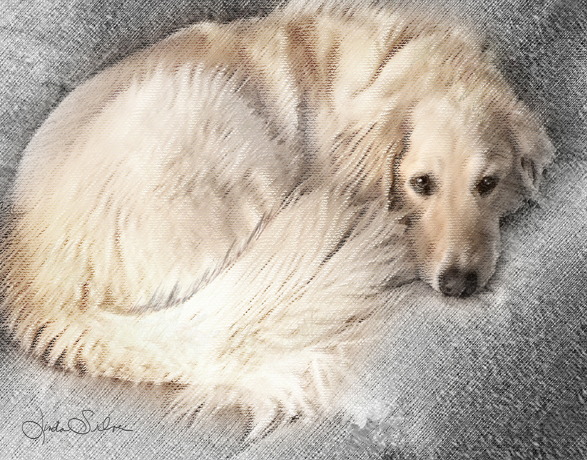 Libby