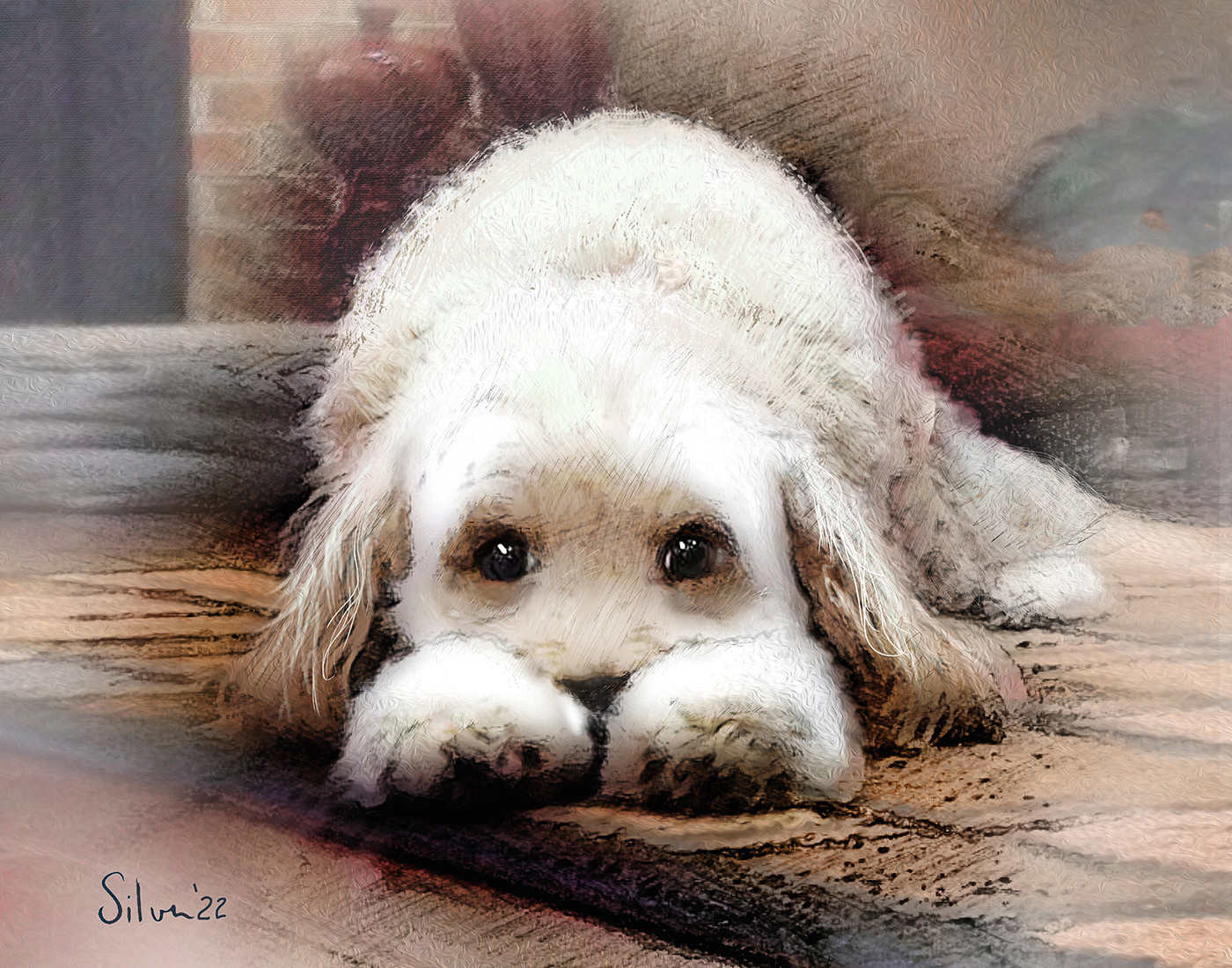 Chloe the Dog