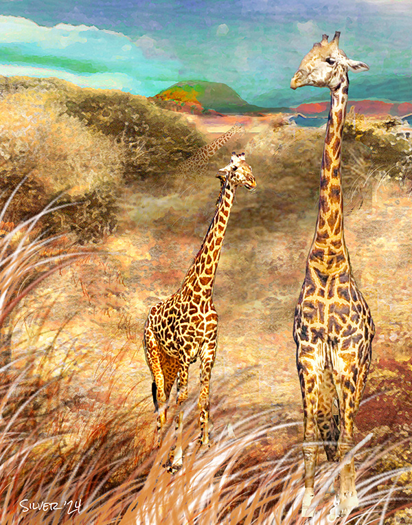 Giraffes