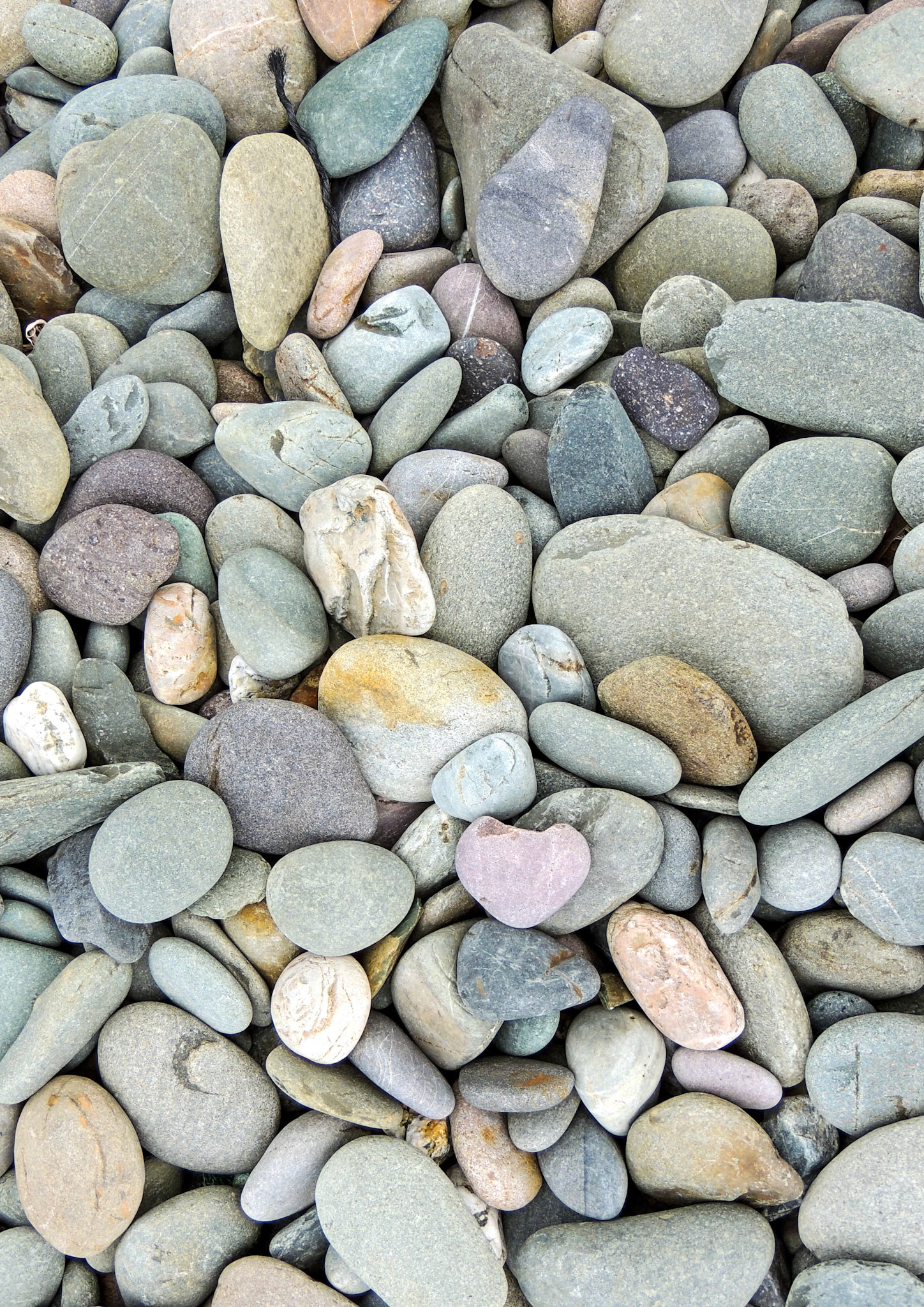 Heart of Stone