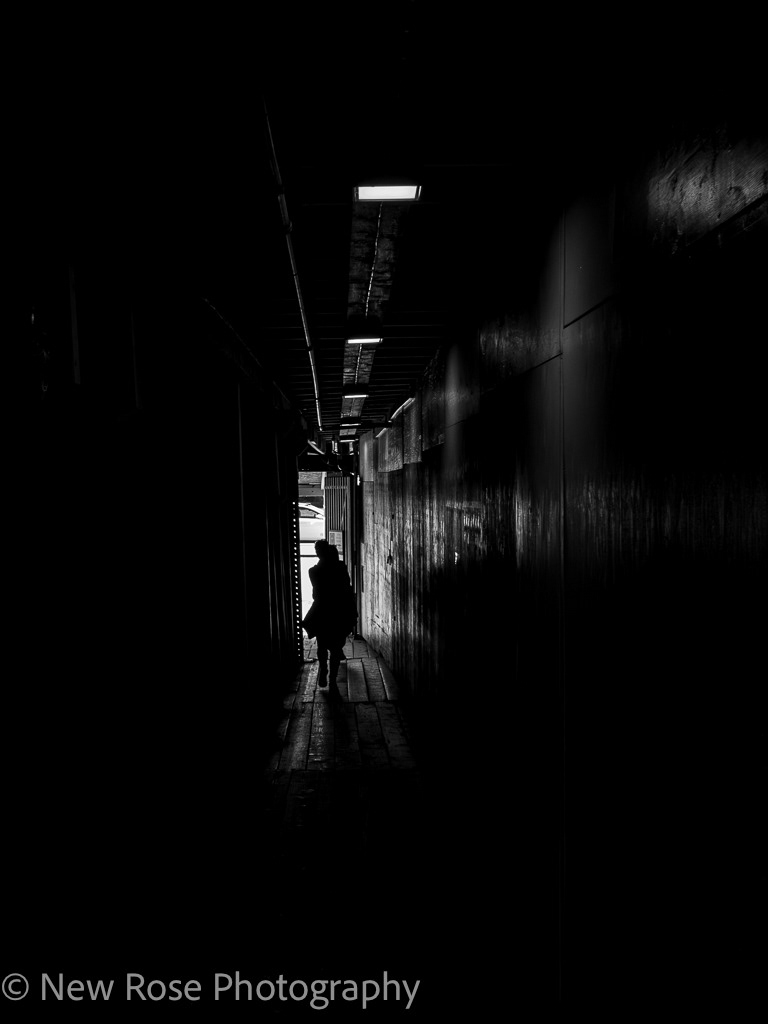 Bryggen
