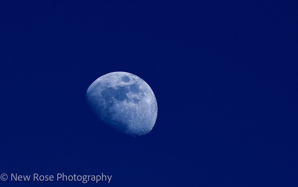 I saw you standing alone