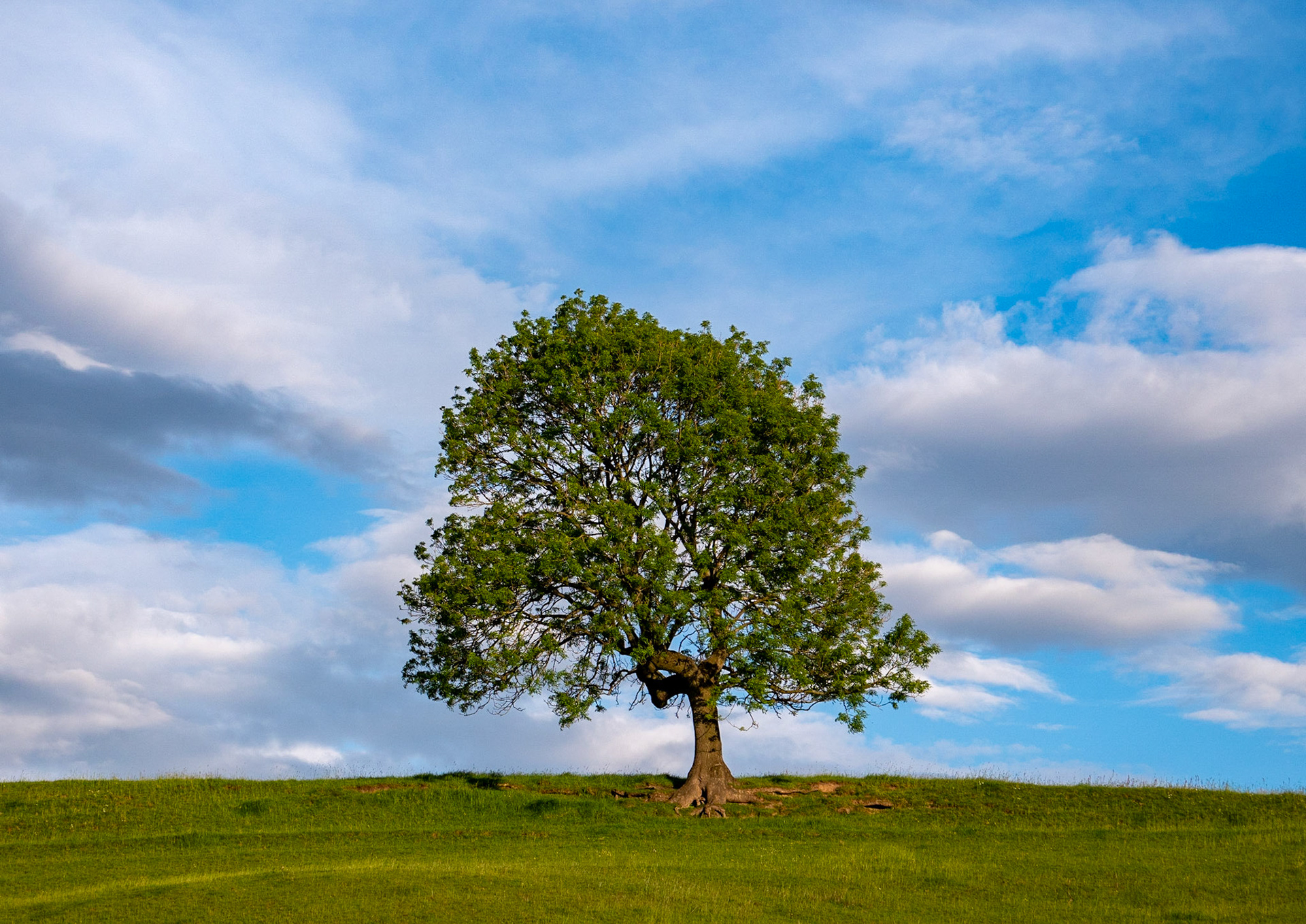 Who do you think you are?