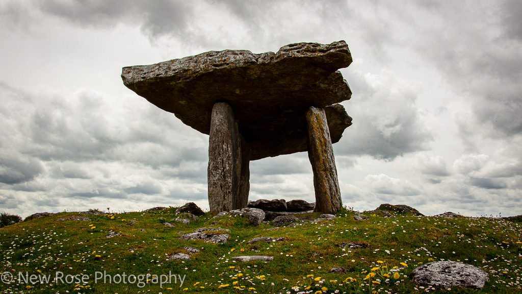Connemara Dolman