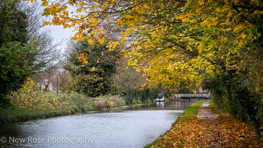 Autumnal