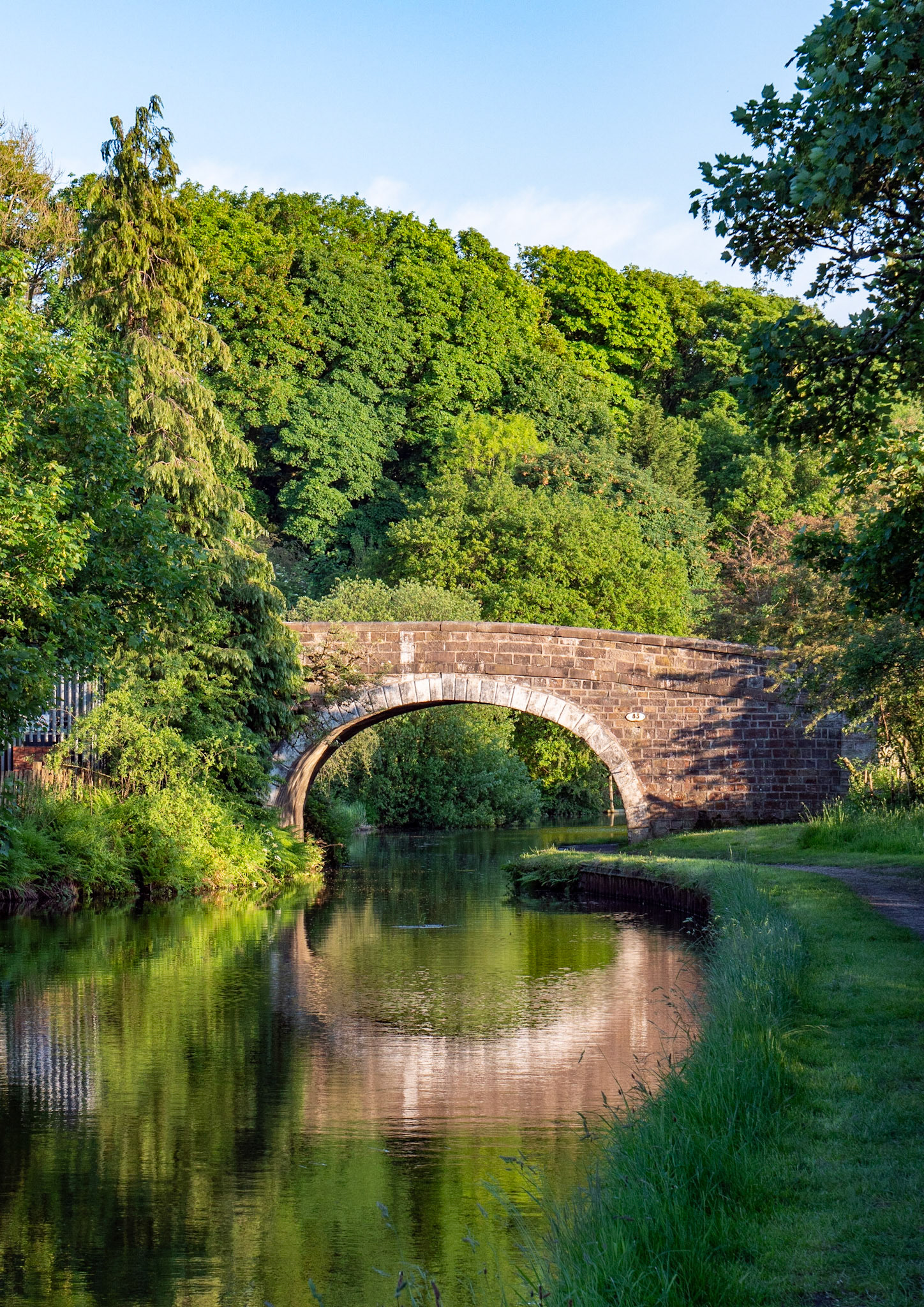 Bridge 83