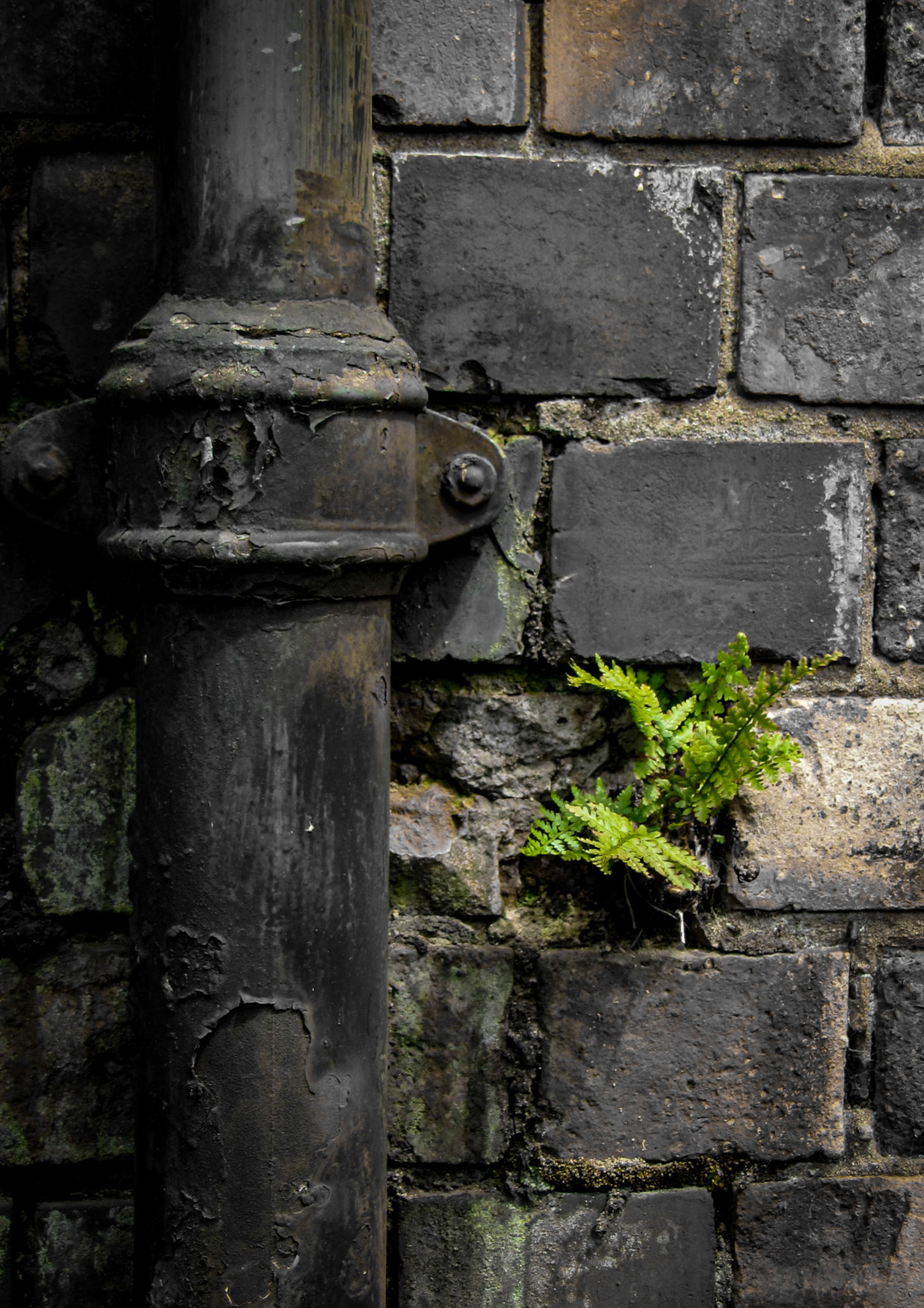 Reclaimed