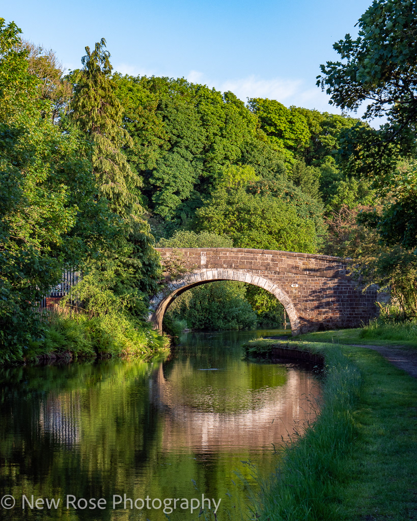 Bridge 83