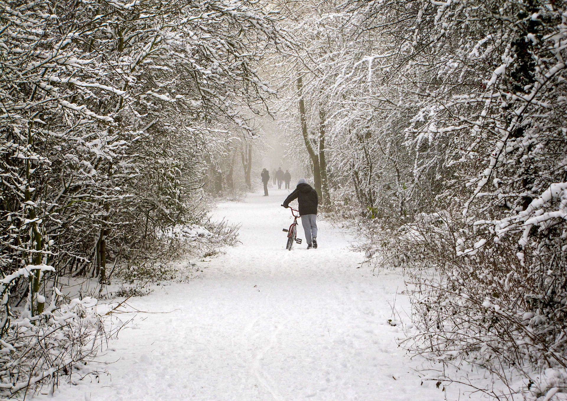 Linear Walk, Bingham