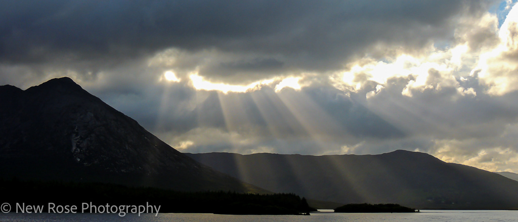 Sunbeams