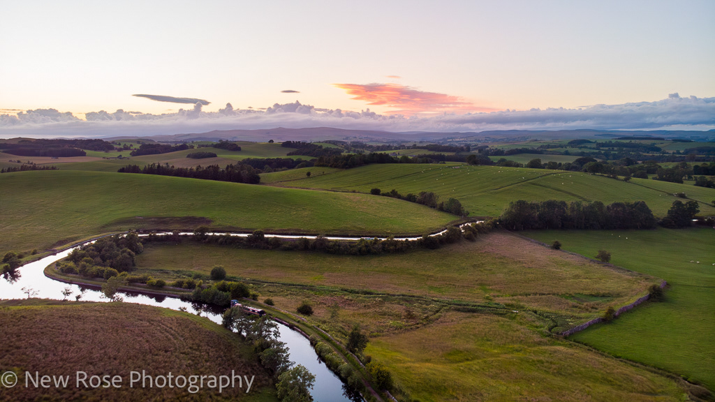 The Twisties