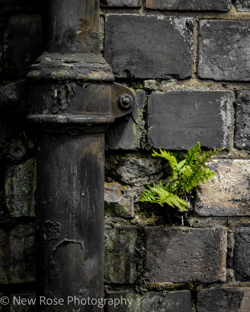 Reclaimed
