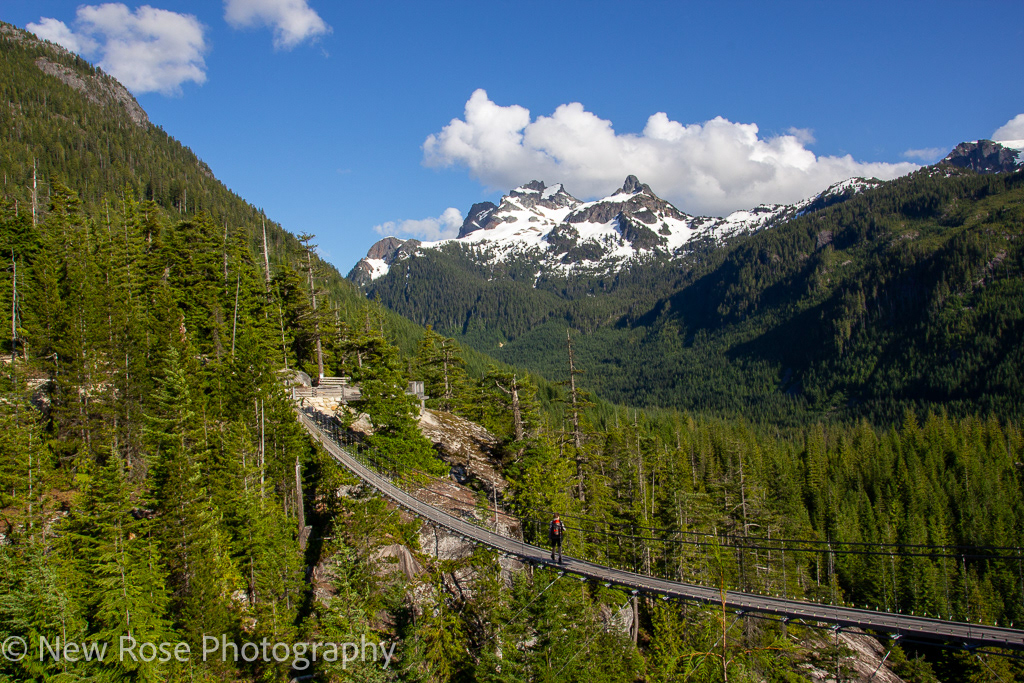 Grouse Mountain