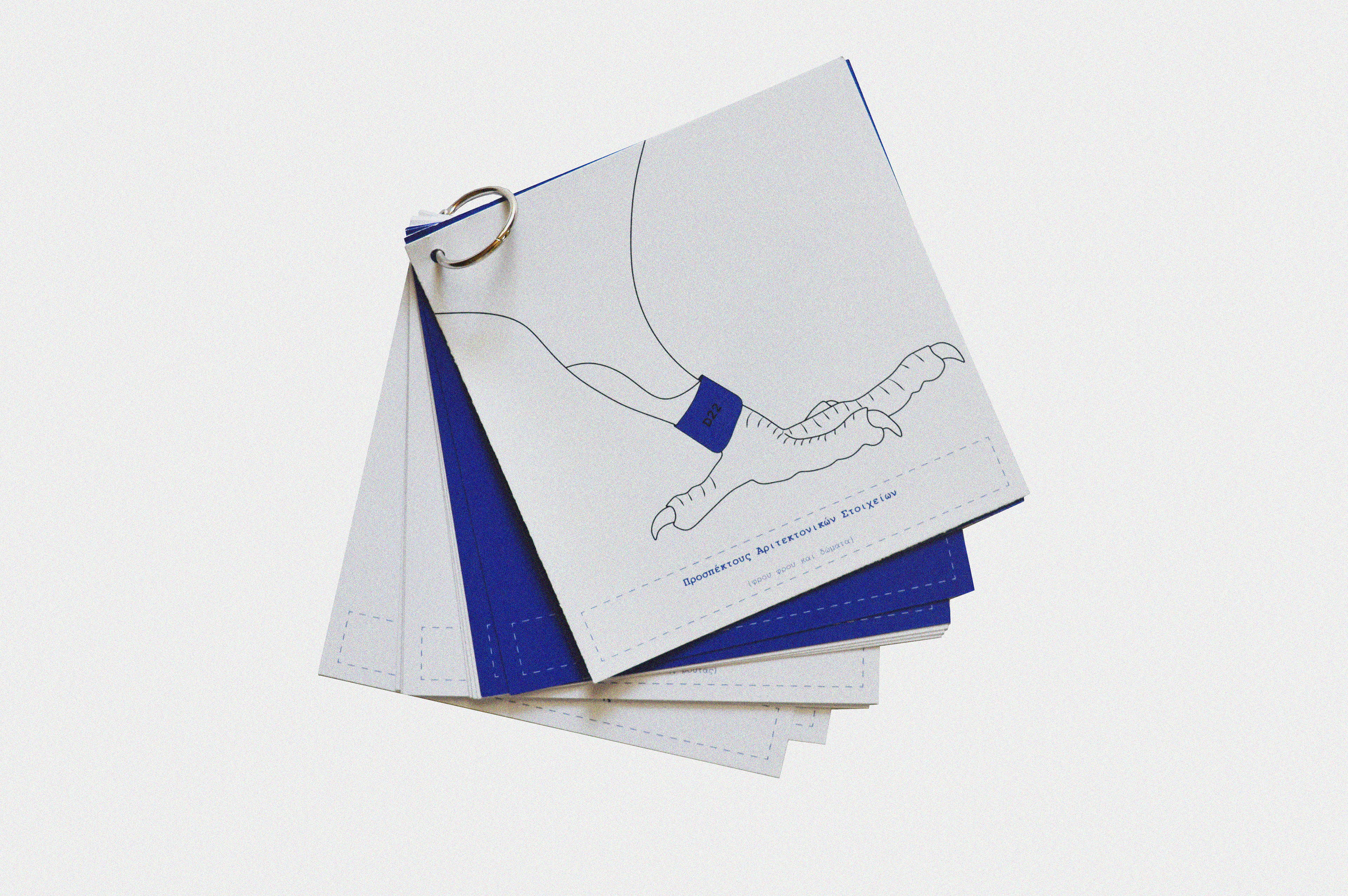 the printed prospectus