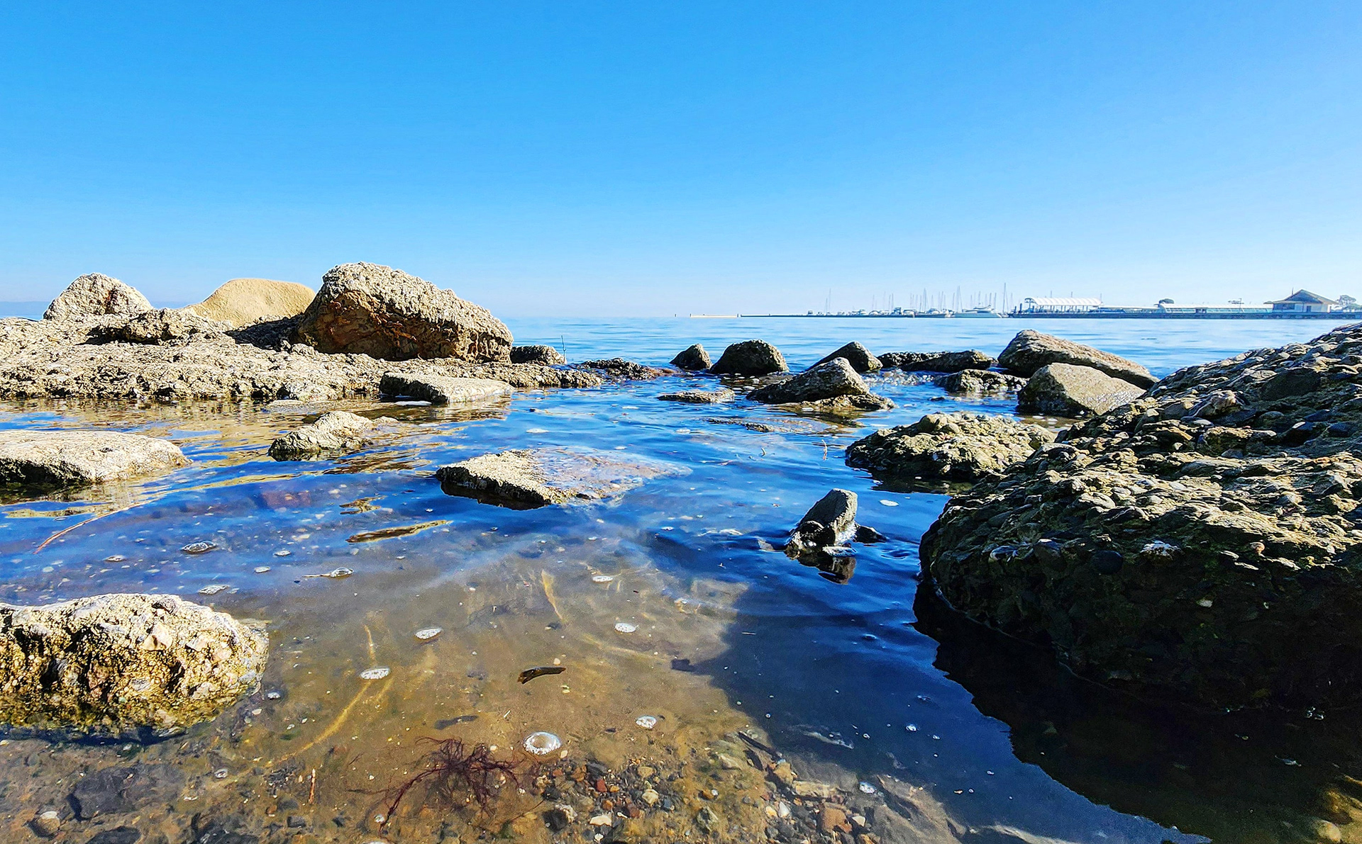 Day 350 - December 16