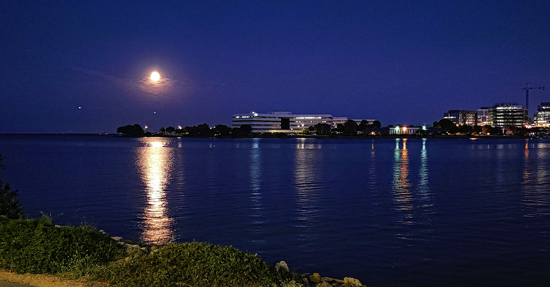 Day 183 - July 2