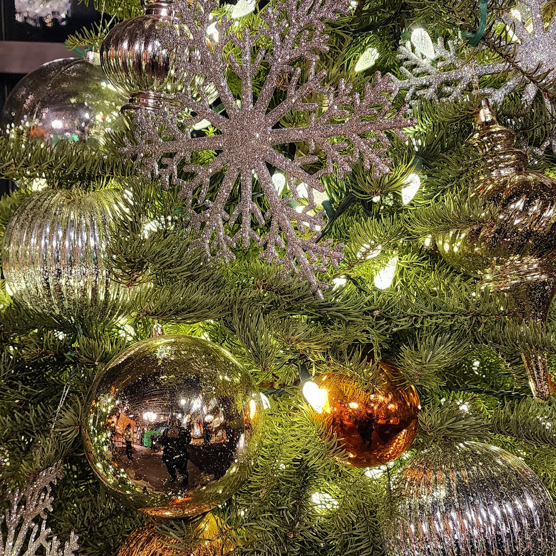 Day 346 - December 12