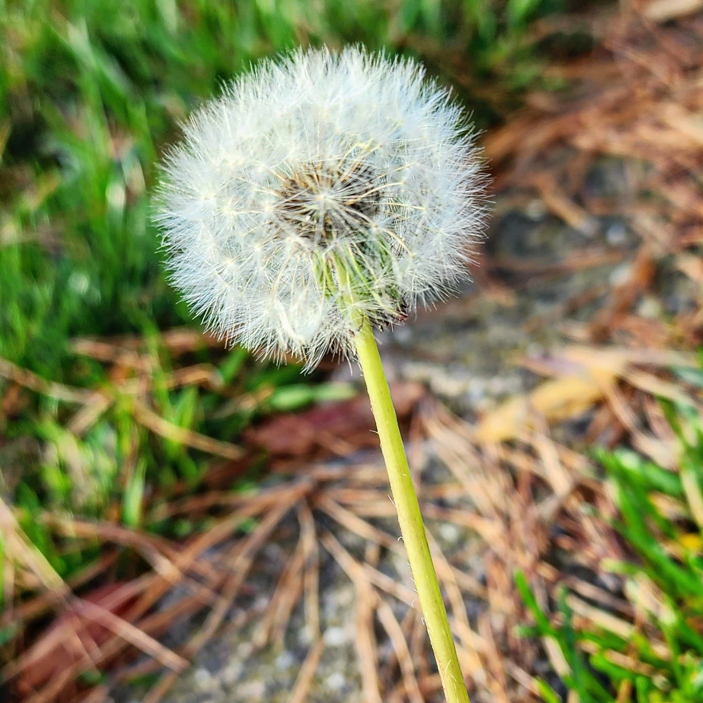 Day 296 - October 23