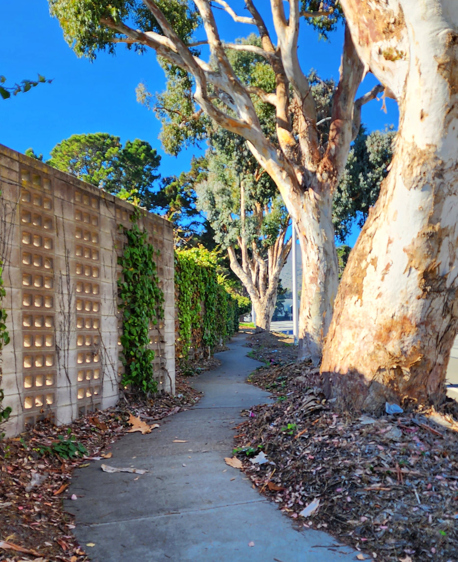 Day 316 - November 12