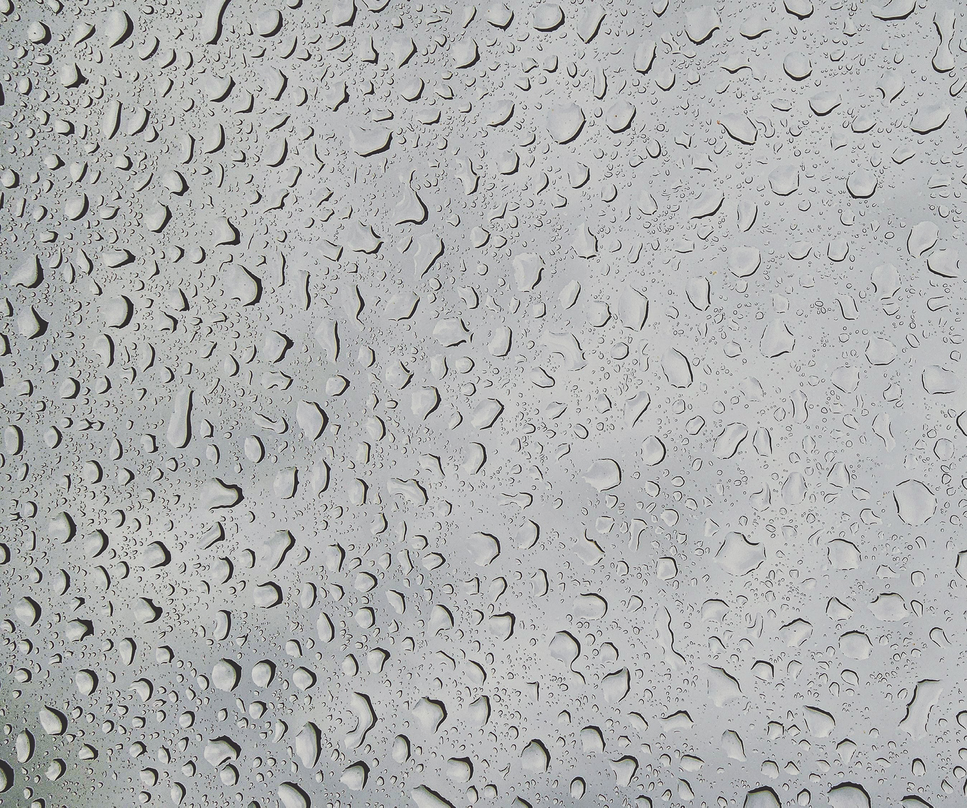Day 2 - January 2