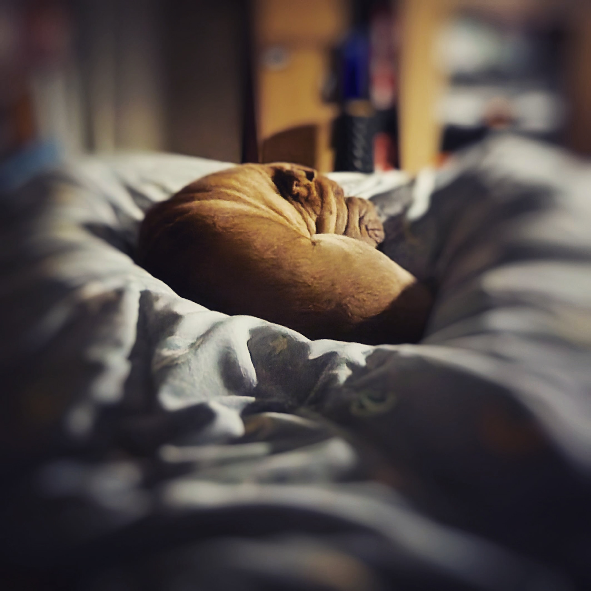 Day 18 - January 18