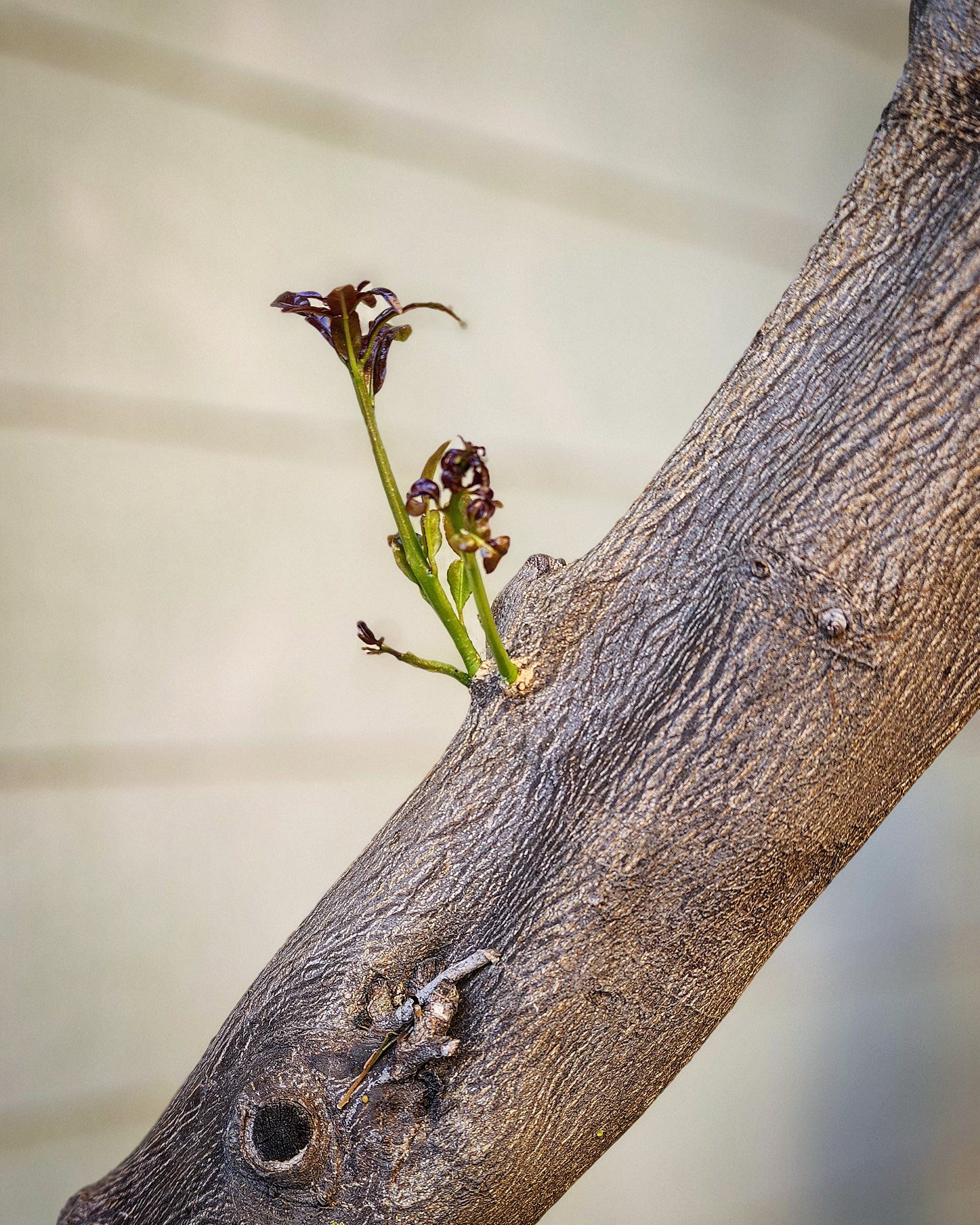 Day 144 - May 24