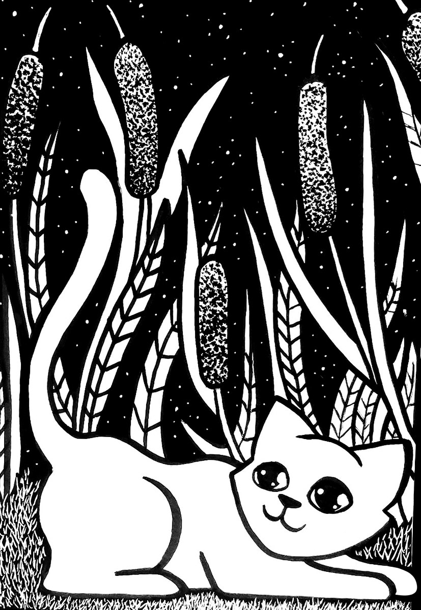 Day 13: Cattails