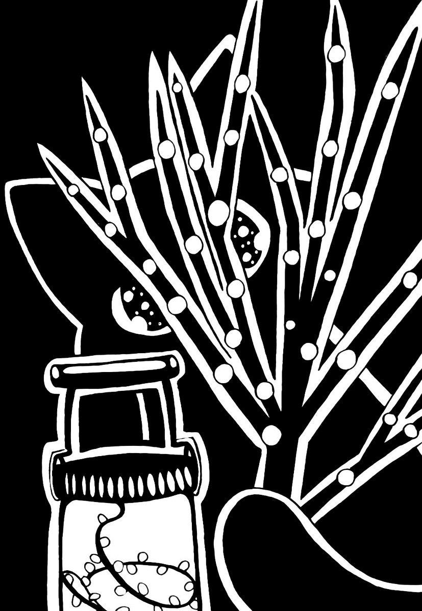 Day 6: Twigs