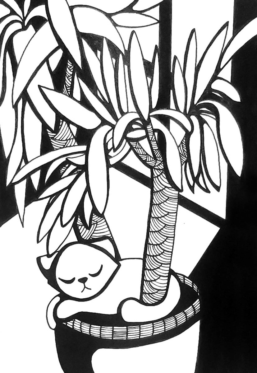 Day 3: Yucca