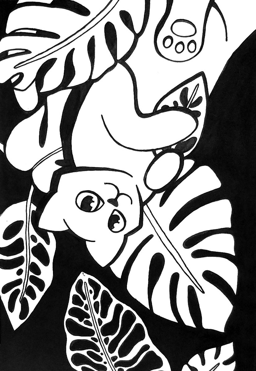 Day 2: Monstera