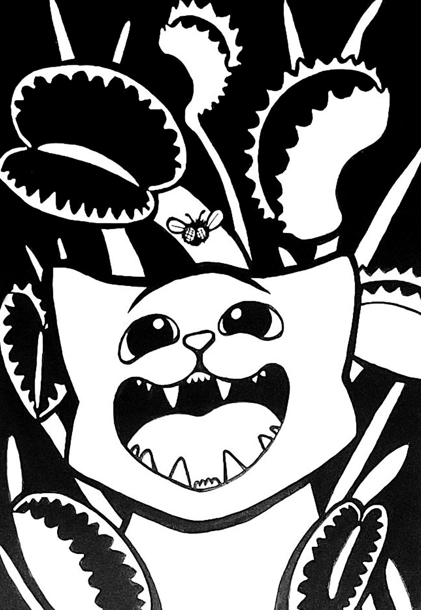 Day 18: Venus Fly Trap