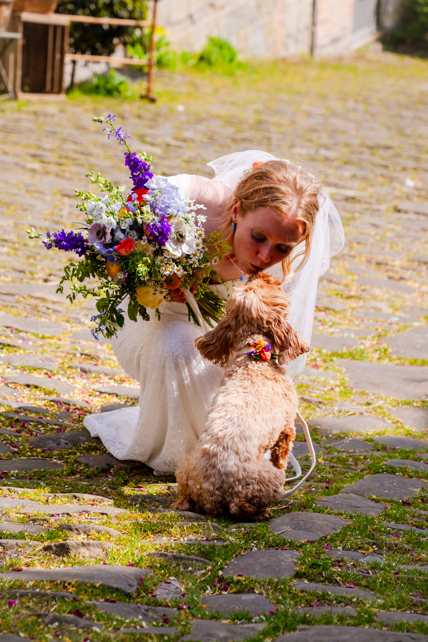 Pictures from Jay and Flo's beautiful spring wedding that took place at Shaftesbury in North Dorset and