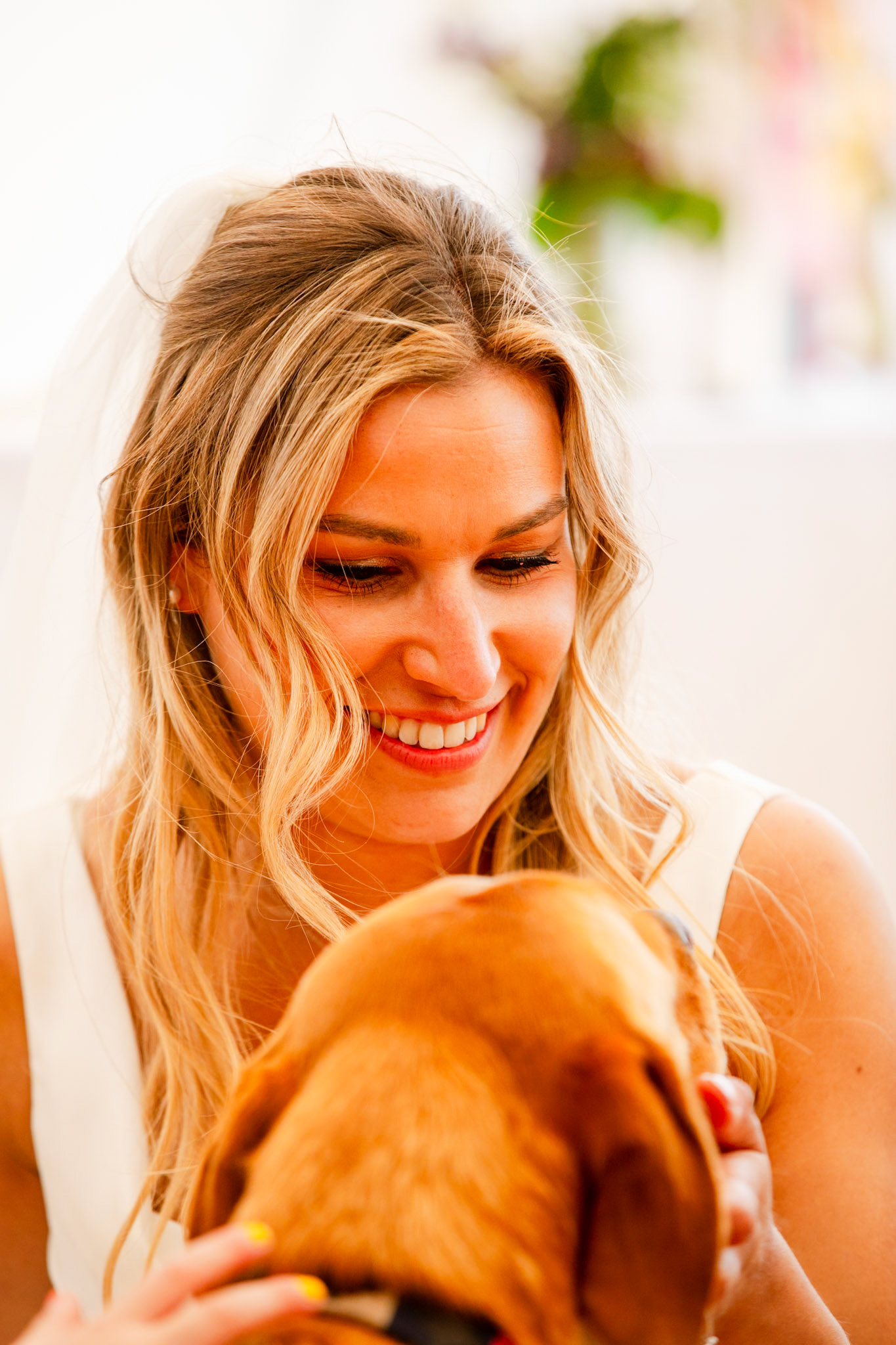 Holly and Olivers wedding that took place on 10th May 2025 with the ceremony taking place at Shaftesbury Town Hall photos on the Famouse Gold Hill and reception at a local house.