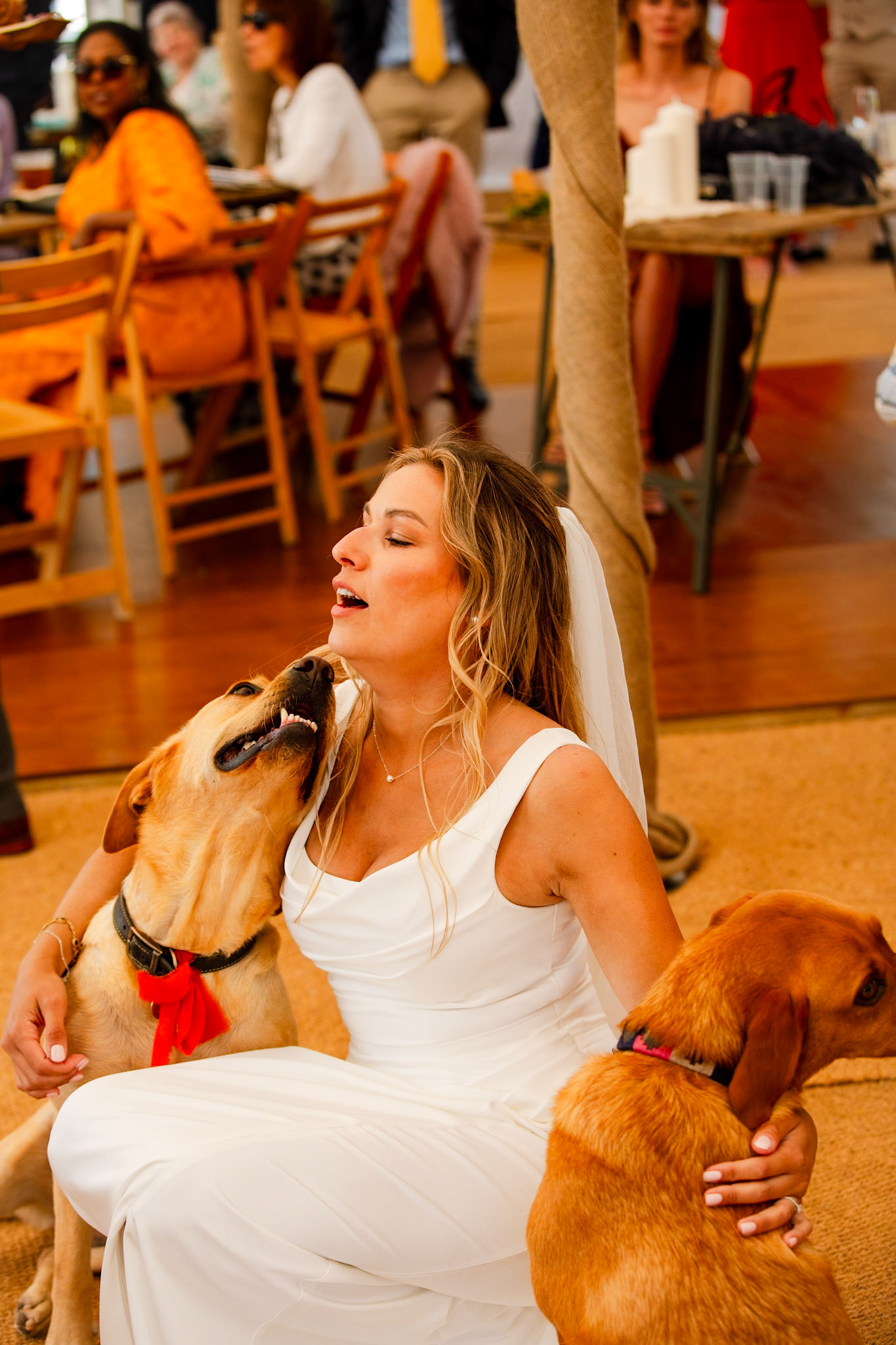 Holly and Olivers wedding that took place on 10th May 2025 with the ceremony taking place at Shaftesbury Town Hall photos on the Famouse Gold Hill and reception at a local house.