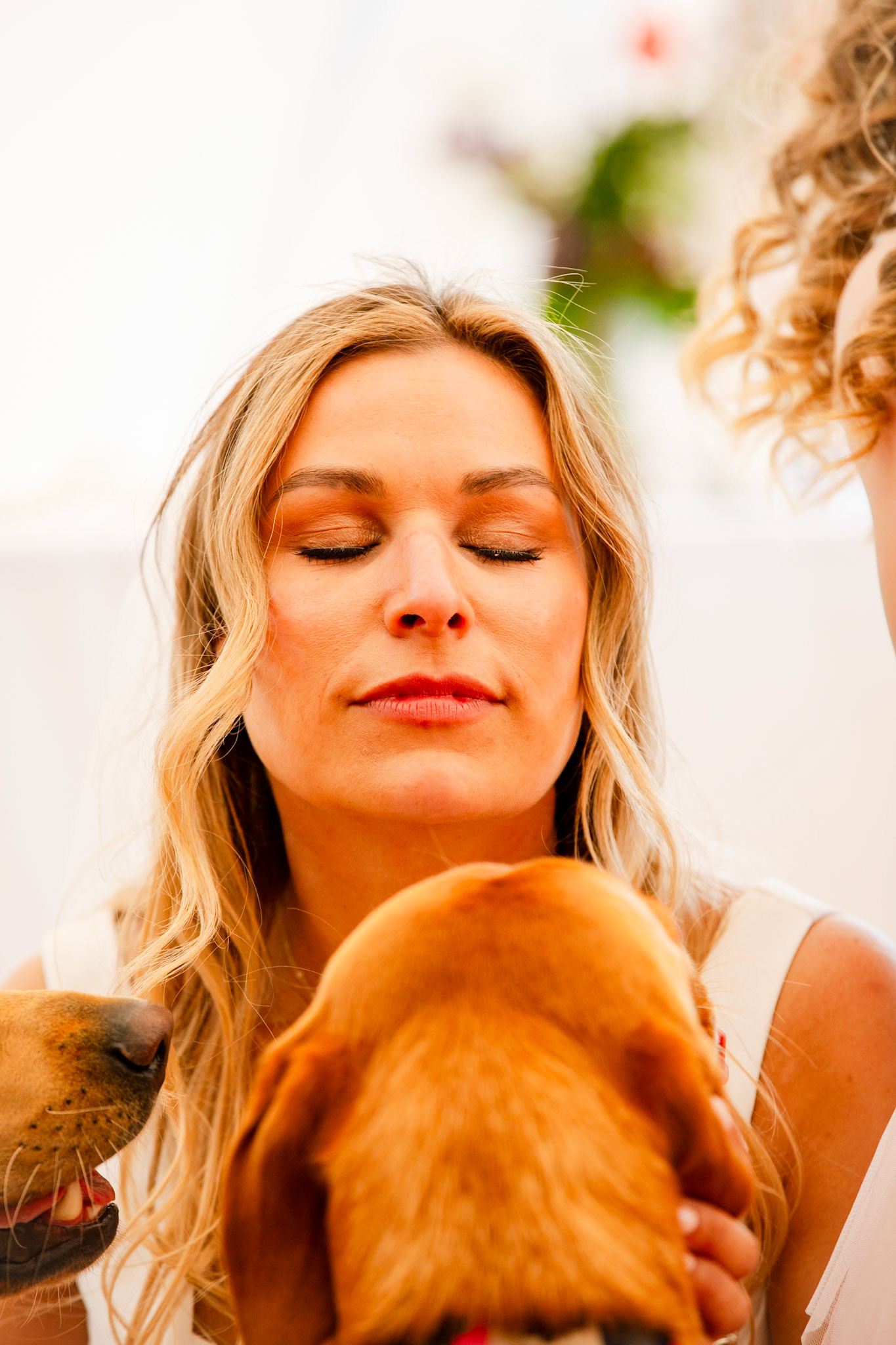 Holly and Olivers wedding that took place on 10th May 2025 with the ceremony taking place at Shaftesbury Town Hall photos on the Famouse Gold Hill and reception at a local house.