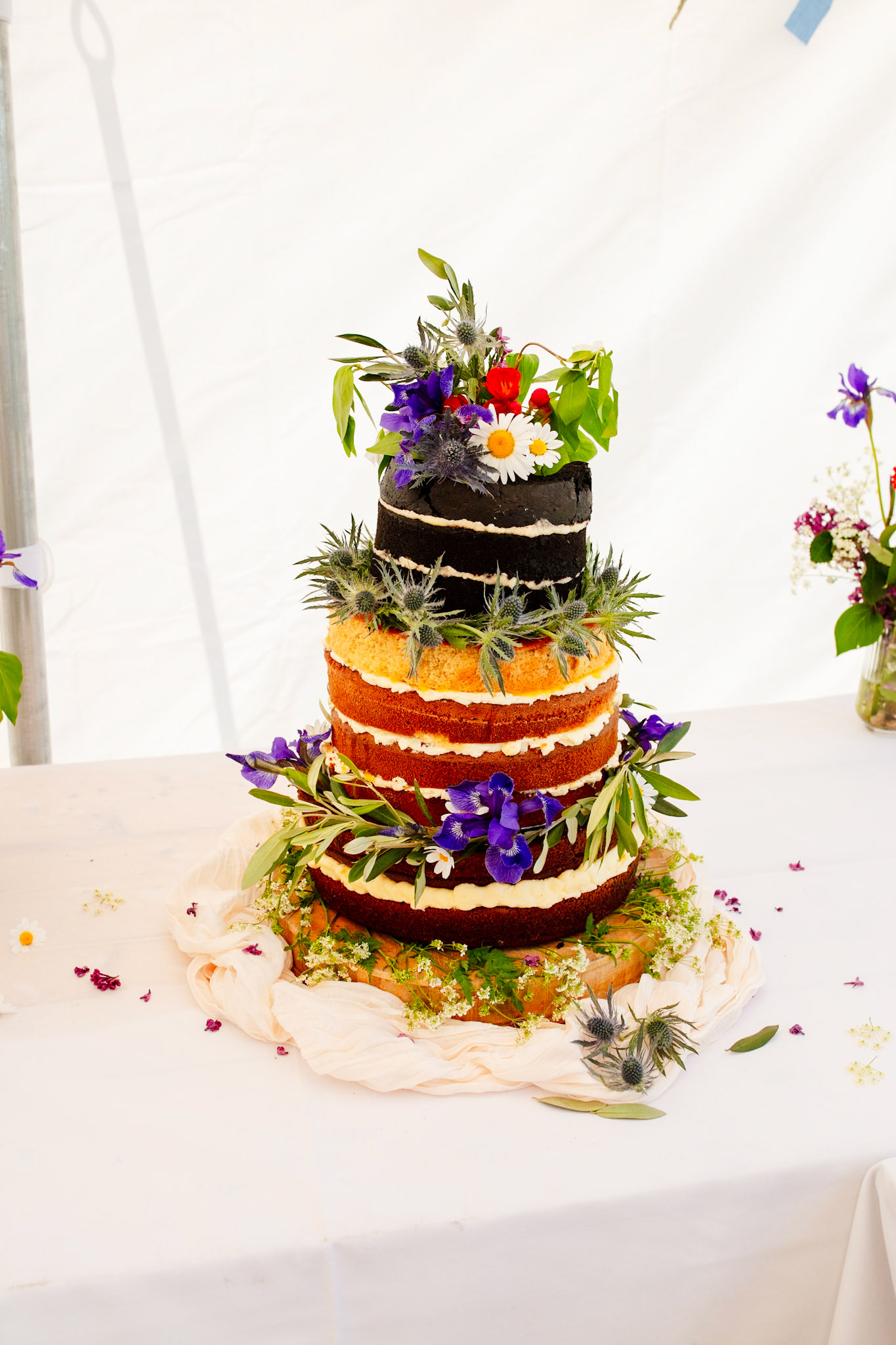 Holly and Olivers wedding that took place on 10th May 2025 with the ceremony taking place at Shaftesbury Town Hall photos on the Famouse Gold Hill and reception at a local house.