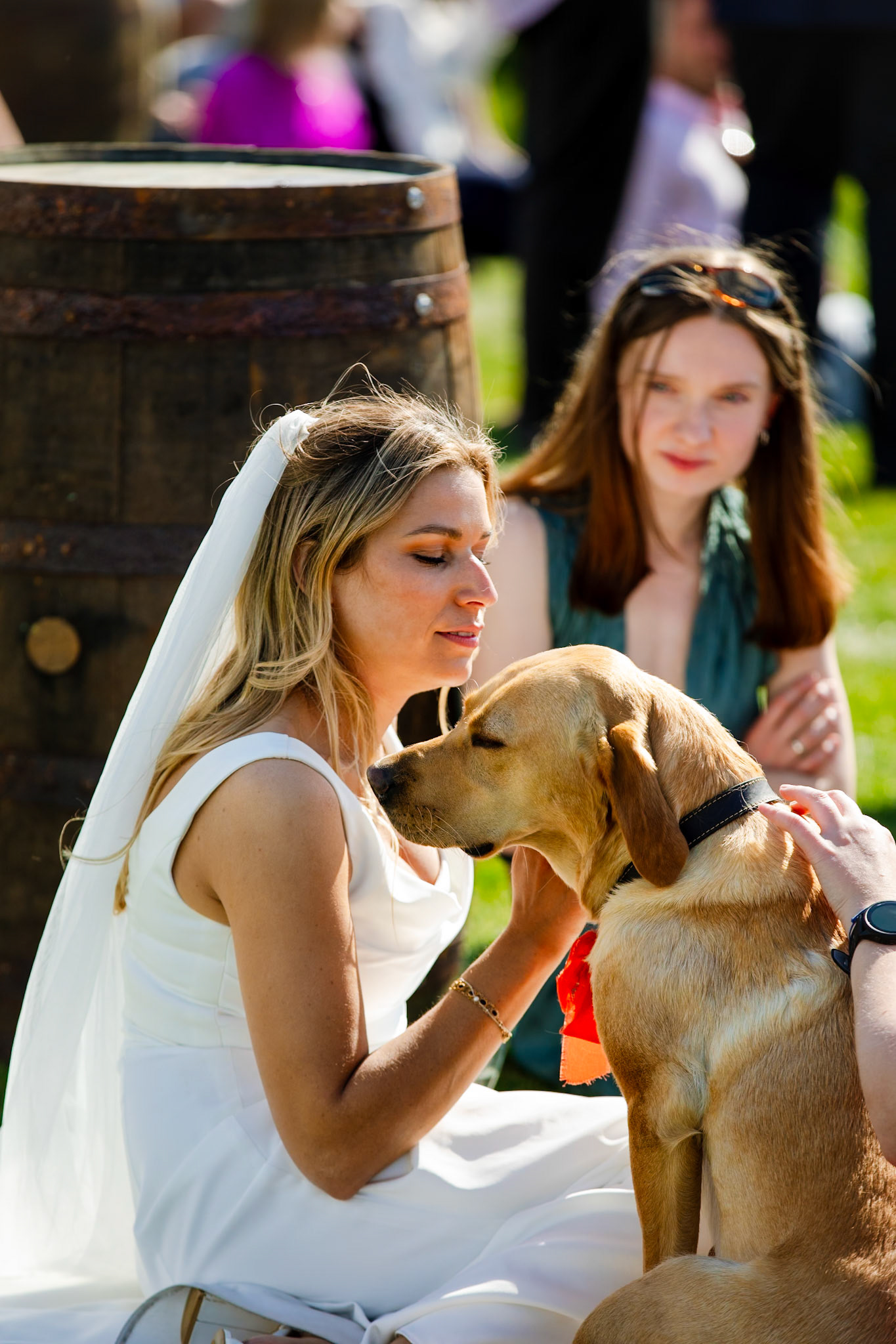 Holly and Olivers wedding that took place on 10th May 2025 with the ceremony taking place at Shaftesbury Town Hall photos on the Famouse Gold Hill and reception at a local house.