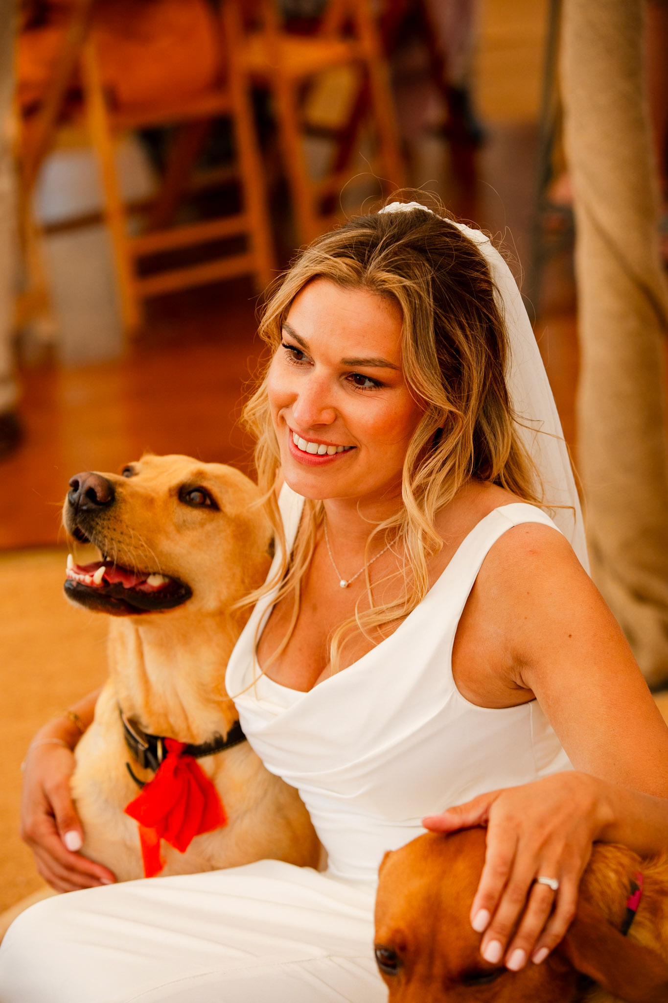 Holly and Olivers wedding that took place on 10th May 2025 with the ceremony taking place at Shaftesbury Town Hall photos on the Famouse Gold Hill and reception at a local house.