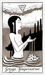 Tarot card from the Strigarum Arcana deck. Striga Temperantiae represents harmony and integration.