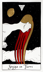 Tarot card from the Strigarum Arcana deck. Striga in Turri represents collapse and revelation.