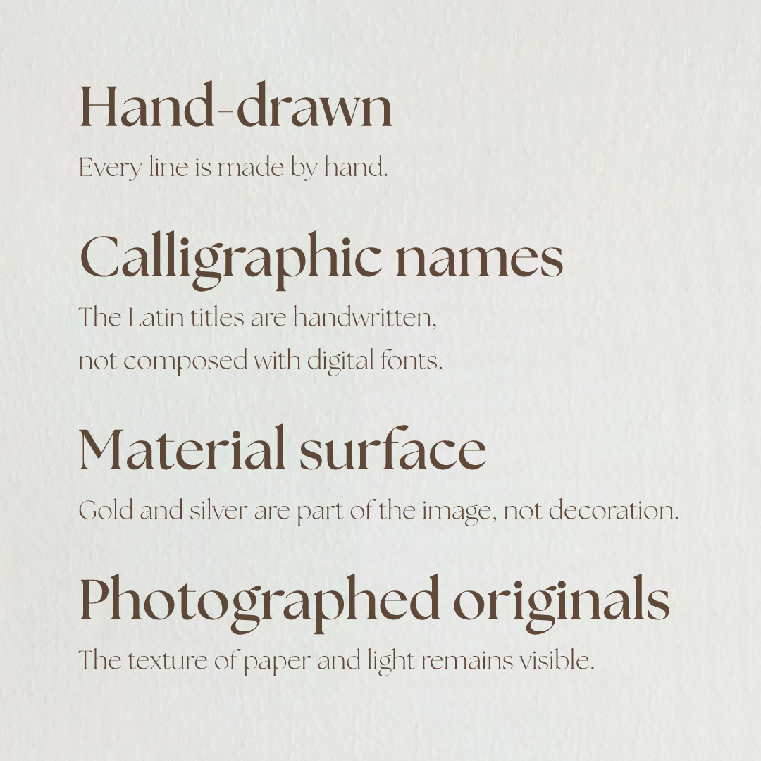Summary graphic for the Strigarum Arcana creative process: hand-drawn artwork, handwritten Latin card names, gold and silver leaf as material surfaces, and photographed originals.