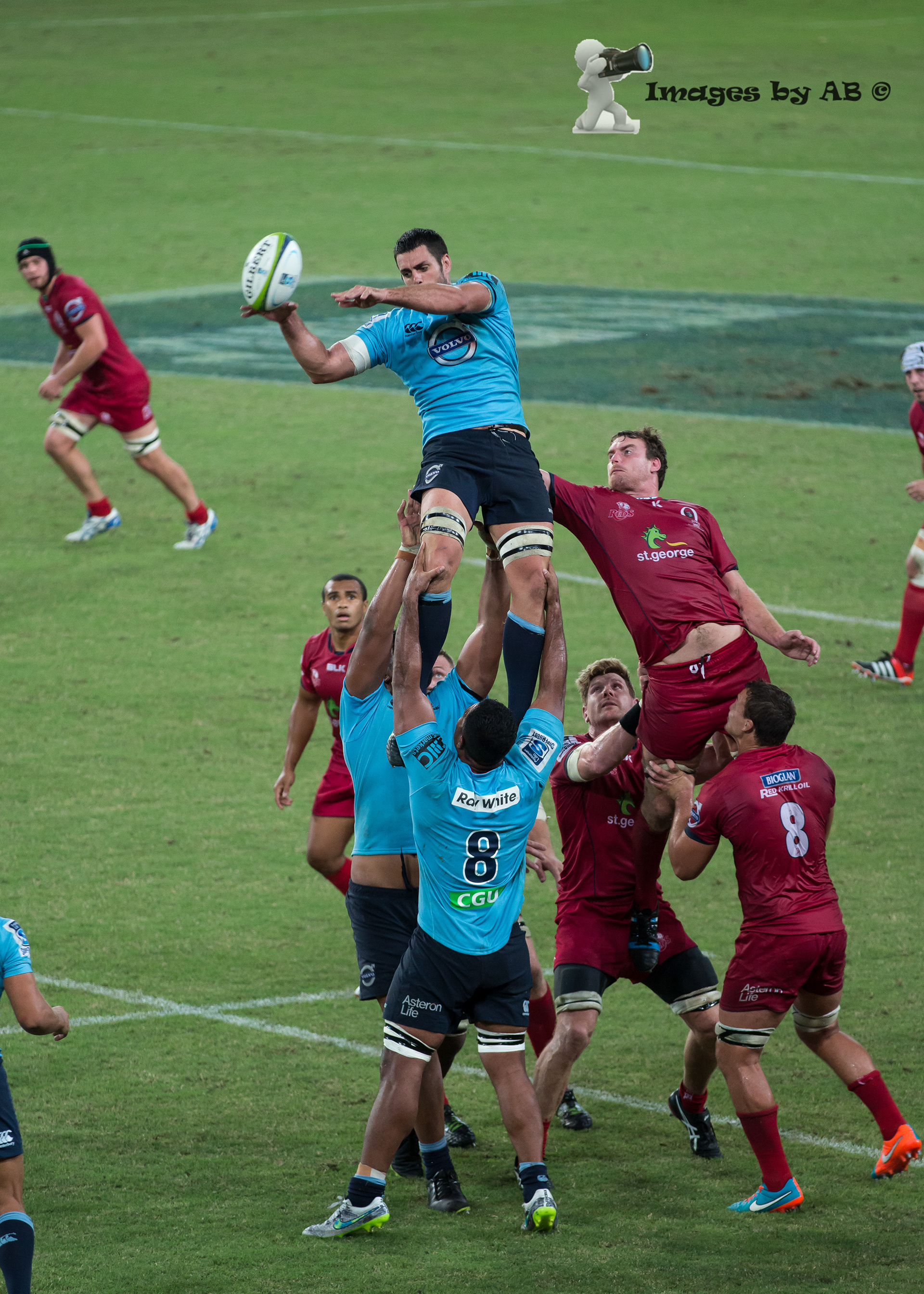Reds vs Waratahs