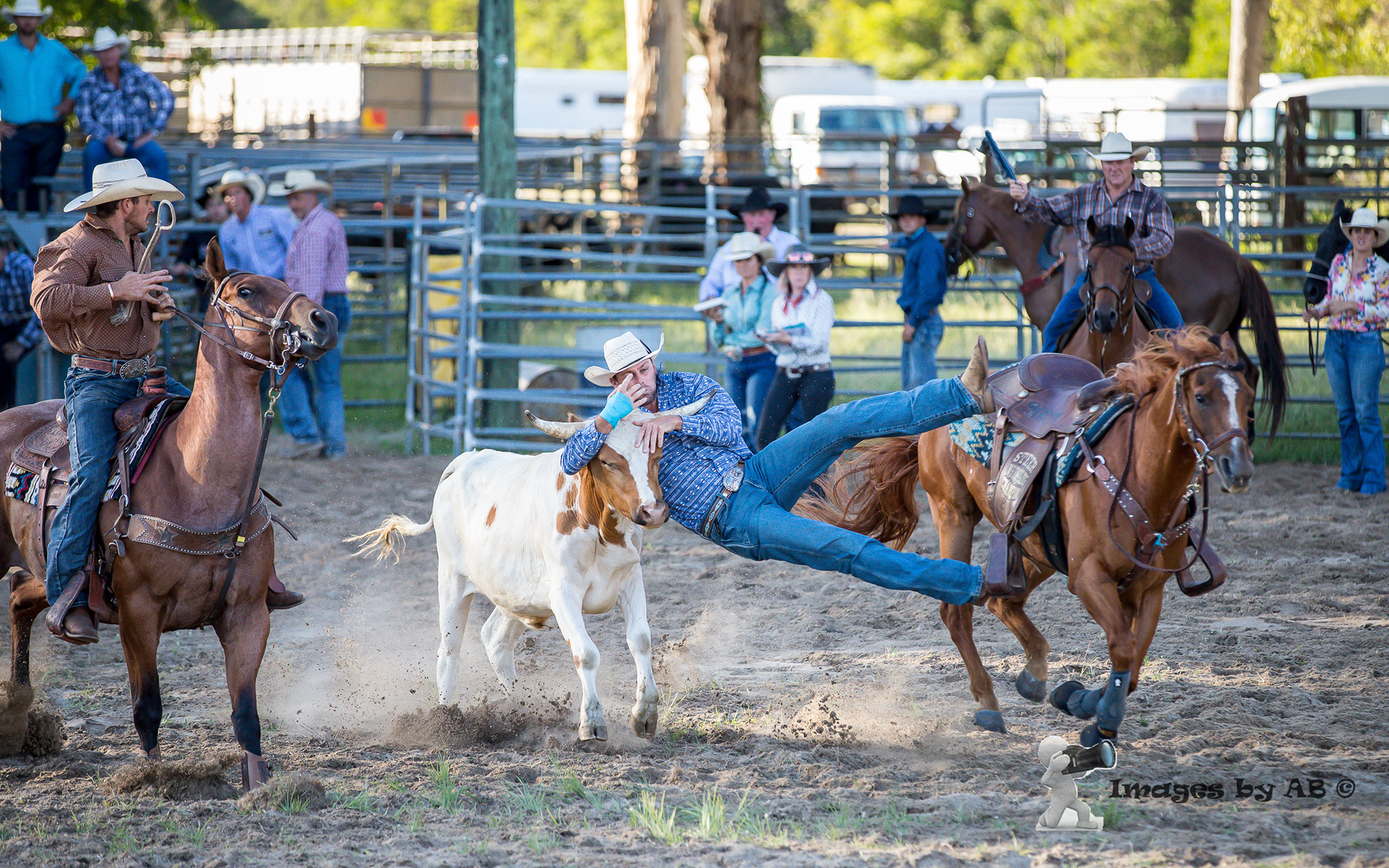 2023 Woodford Rodeo