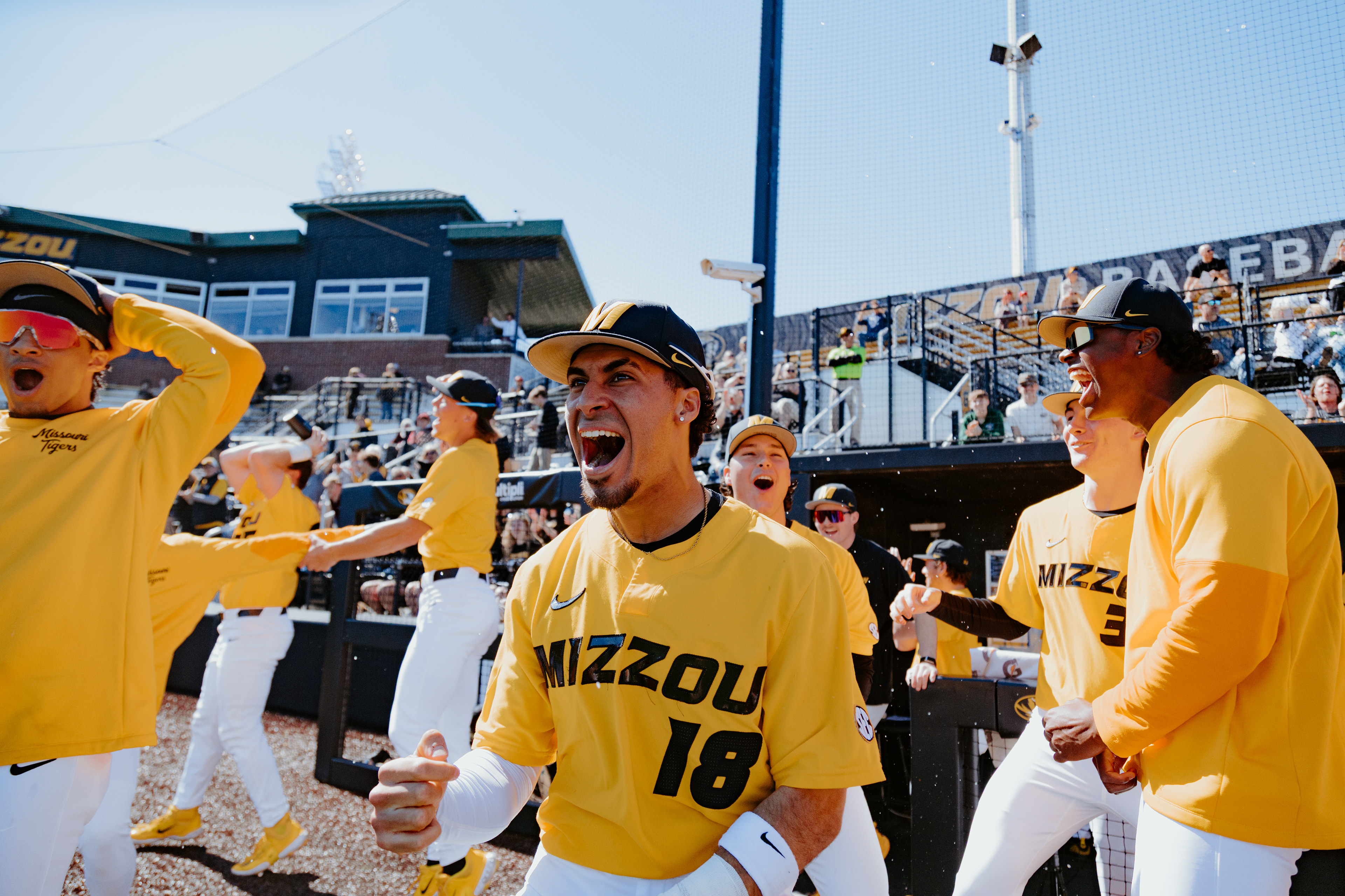 The Mizzou dugout erupts after Kaden Peer, Cameron Benson and Pierre Seals hit back-to-back-to-back home runs at Taylor Stadium on March 8, 2026, in Columbia, Missouri.