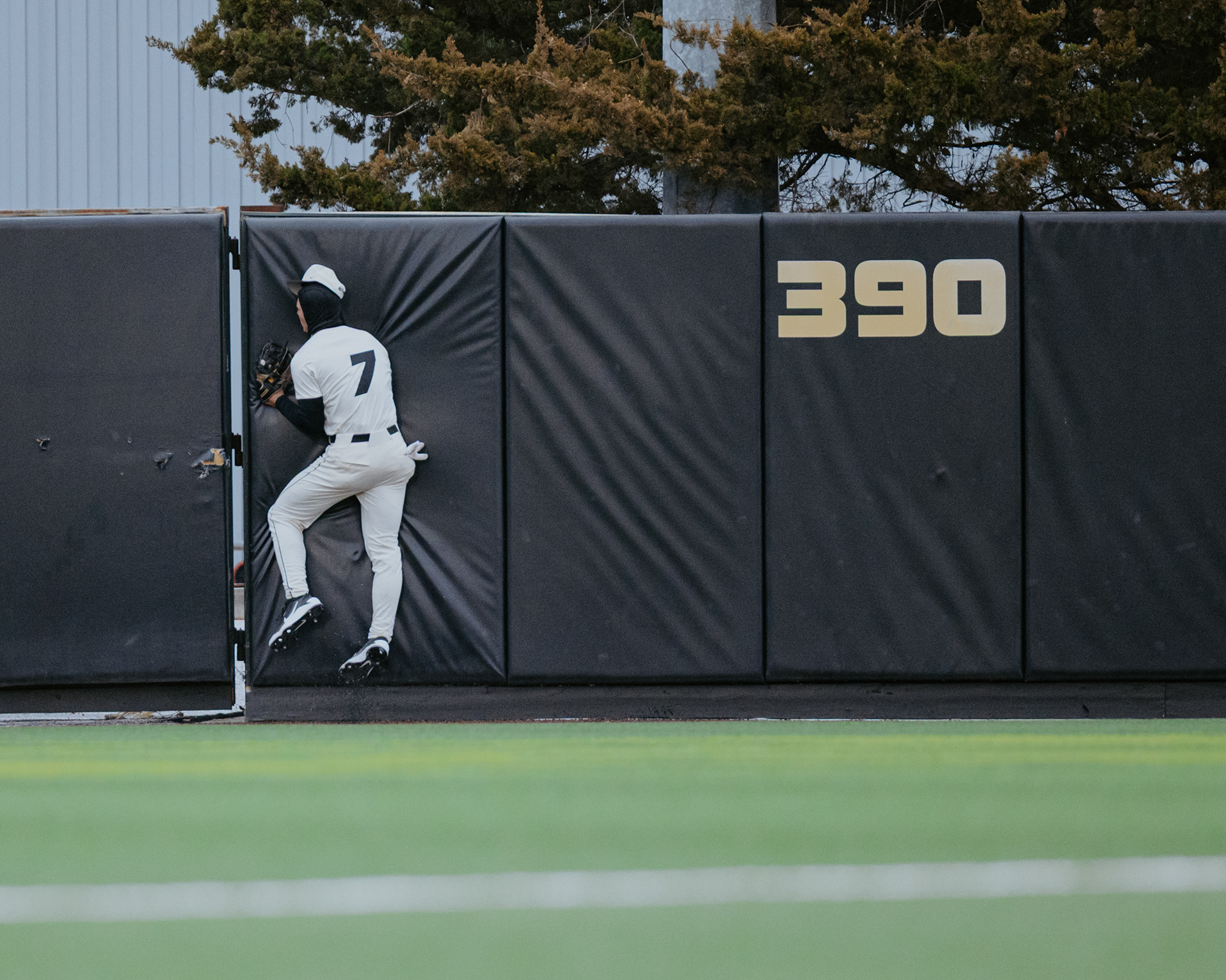 Kaden Peer collides with the outfield wall after making a catchat Taylor Stadium on March 7, 2026 in Columbia, Missouri.